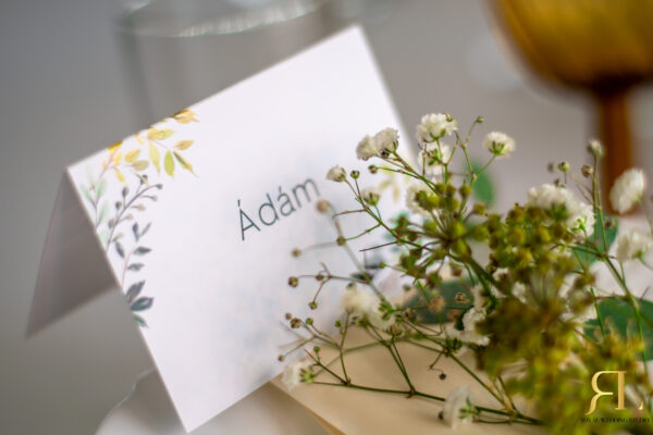 ADAM I VIOLETA-4